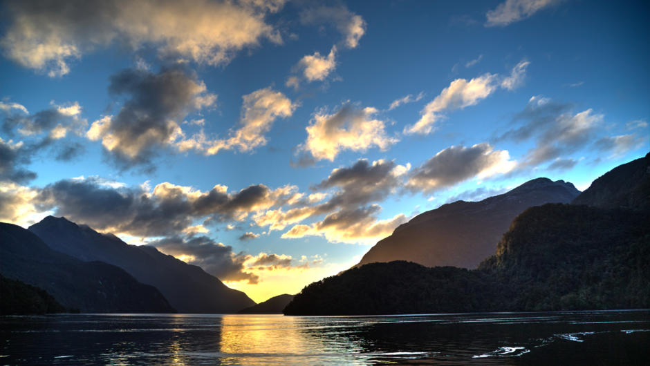 Expedition Cruising in New Zealand