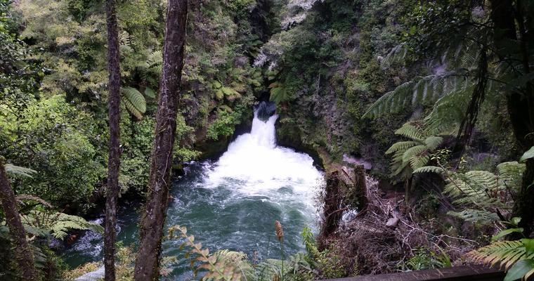Rotorua Okere Falls