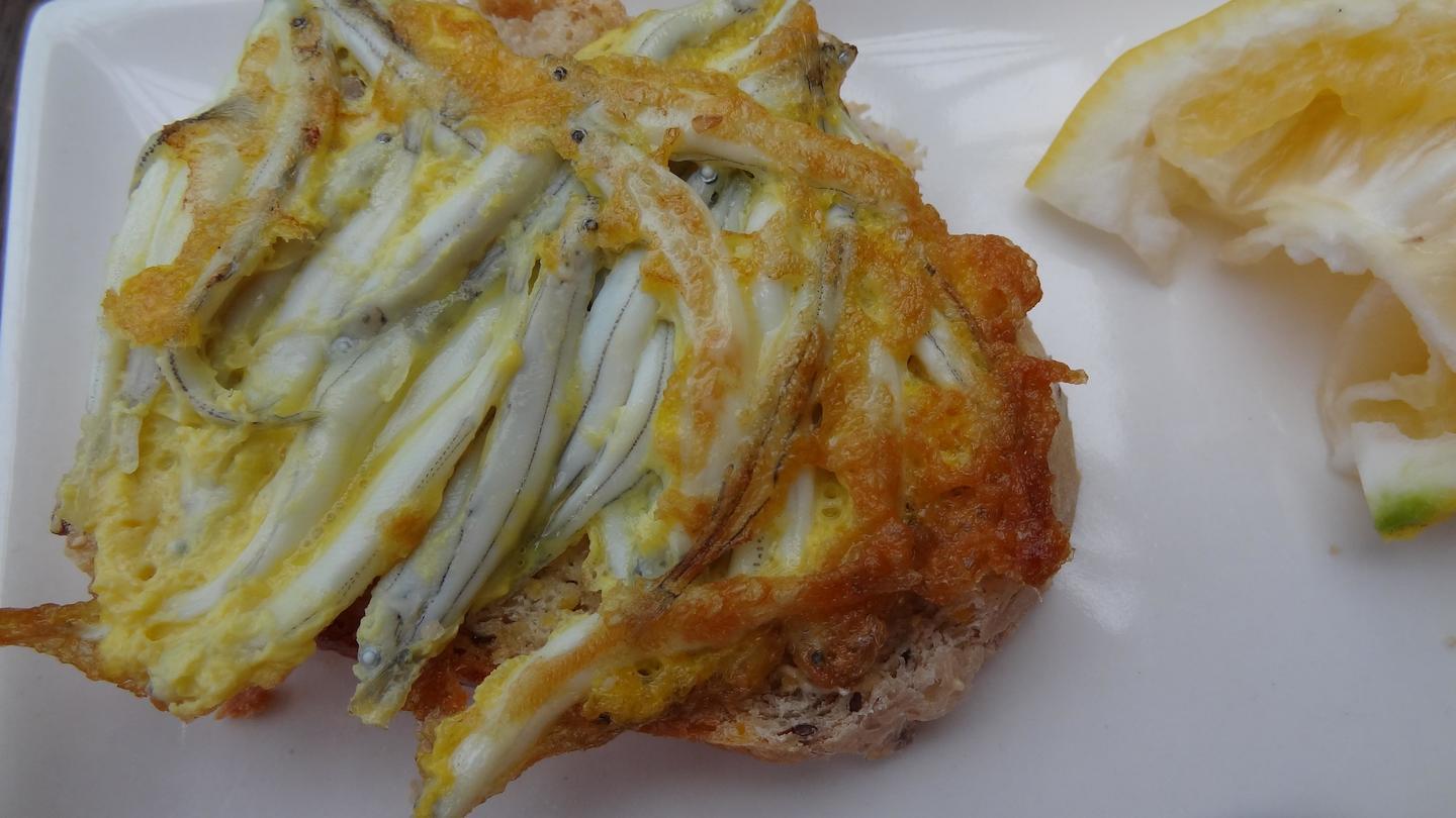 Whitebait