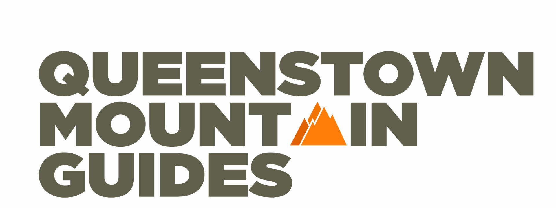 Logo: Queenstown Mountain Guides