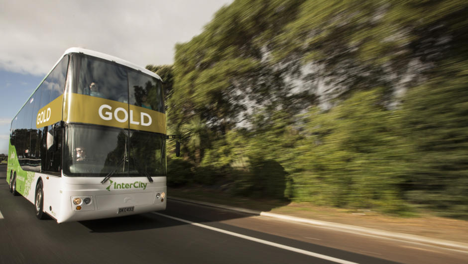 InterCity GOLD bus - new premium seats with recliners, legroom, WiFi and USB charge ports