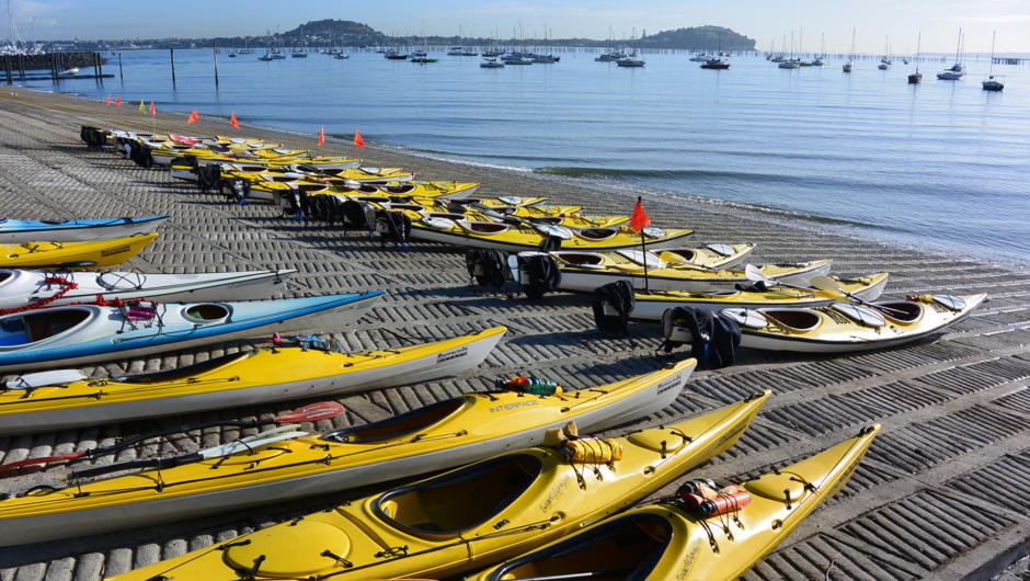 Our fleet of kayaks on the ramp at Fergs Kayaks base in Okahu Bay
