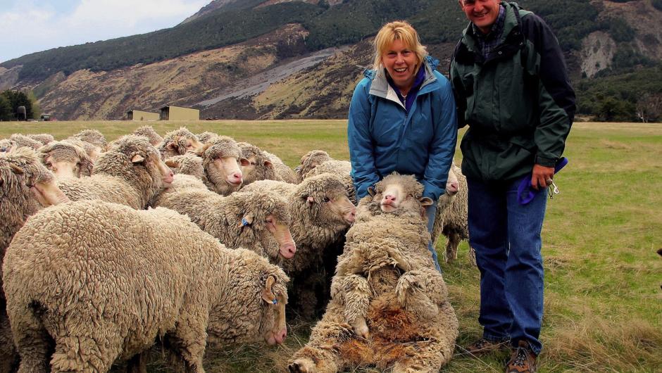 Explore a real working farm, home to 3000 merino sheep.