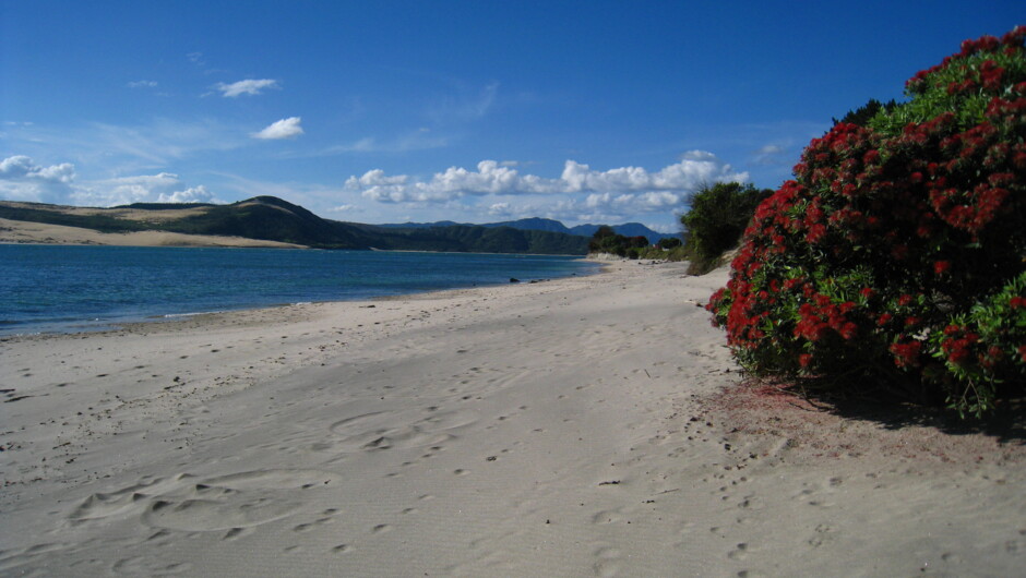 Omapere Beach north of the stairs