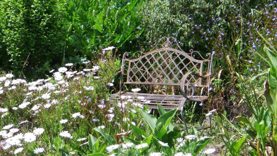 SUnny bench in a sea of flowers