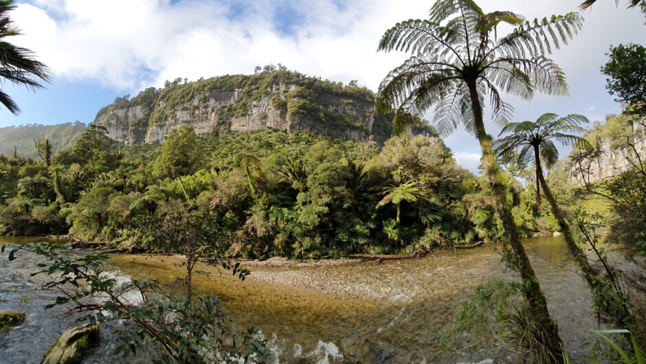 Pororari River, Paparoa Track