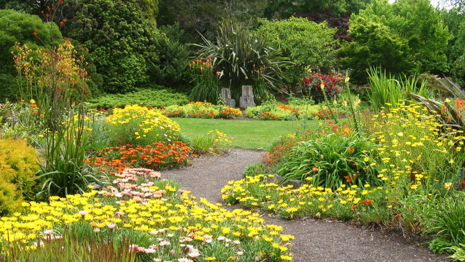 Lurid Garden - full of bright coloured plants