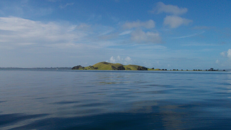 Beautiful Browns Island or Motukorea