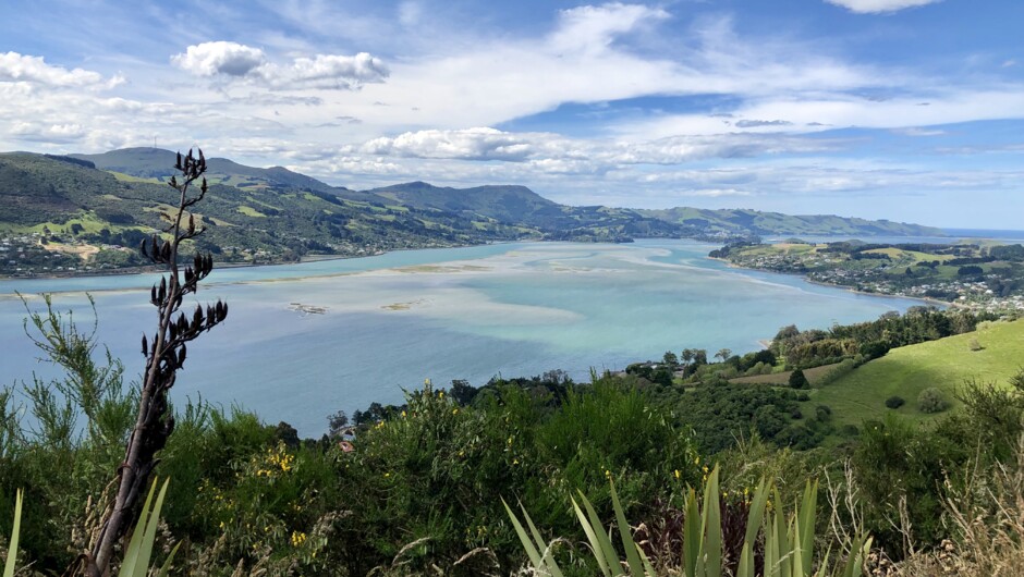 Otago Peninsula