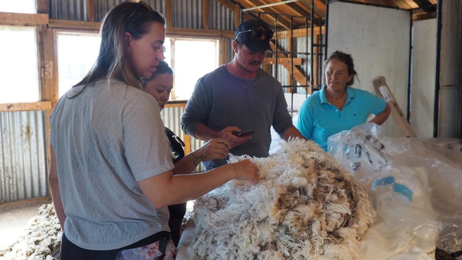 Touching our fine merino wool