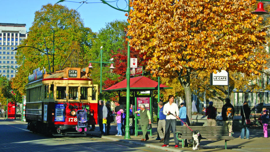 Autumn on the Tram