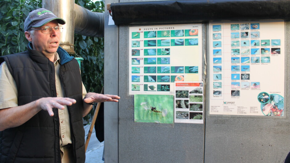 Explaining about the Greenhouse - natural beneficial insects.