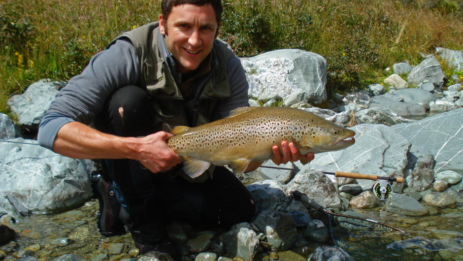 A well conditioned Brown Trout of approximately 8.5lbs.