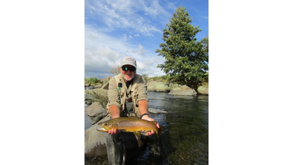 Nice colours on this Taranaki brown trout