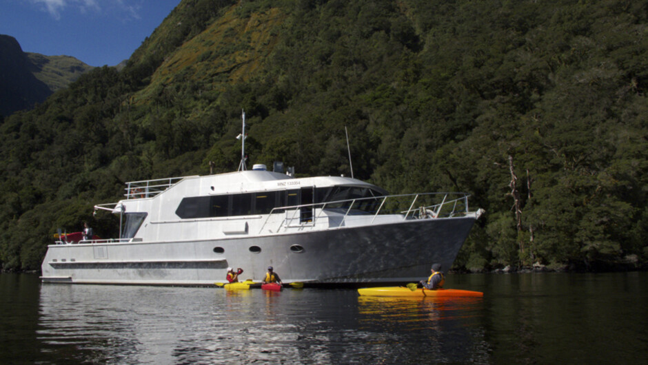 Doubtful Sound Overnight Cruises
$650-$1550 NZD
A Cruise of a LIfe Time