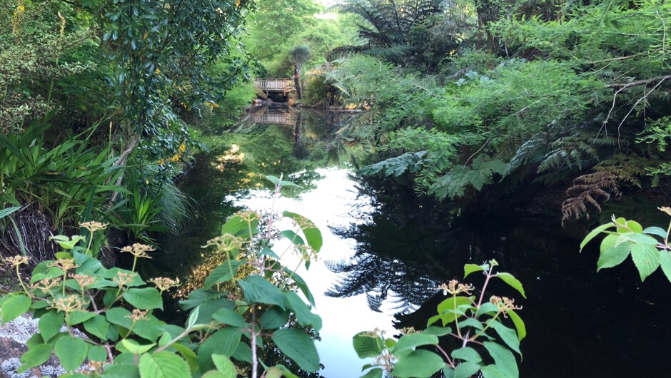 One of the many planted waterways creating stunning vistas throughout the 20 acre garden