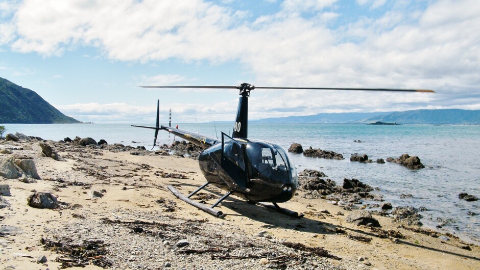 Kapiti Heliworx