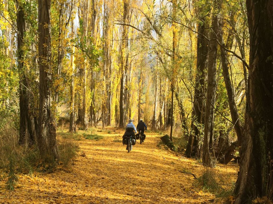 Clutha Gold Trail - Autumn