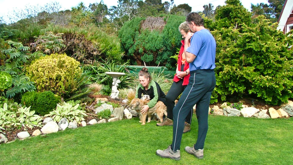 Iris & our Border Terriers in garden