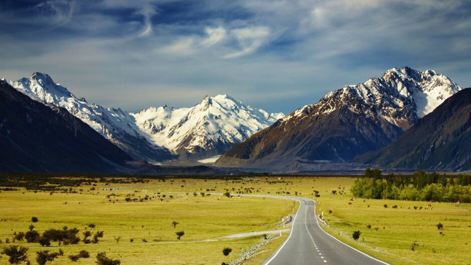 Visit New Zealand Landscape