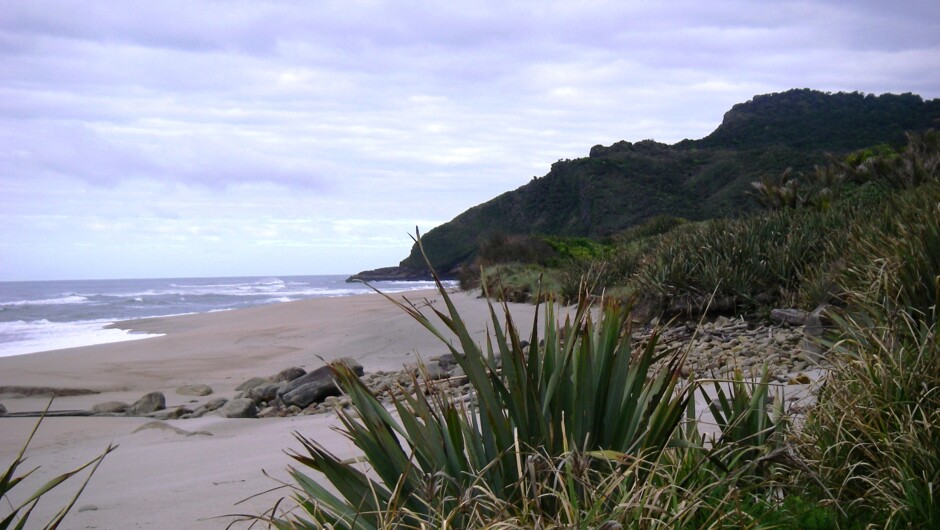 beach on the heaphy track