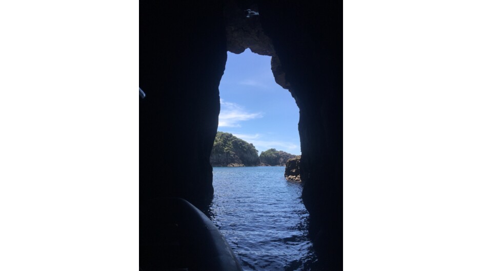 웨일 동굴