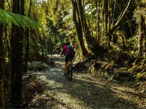 Mit dem Rad durch den Regenwald des West Coast Wilderness Trails.