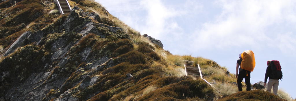 Kepler Track