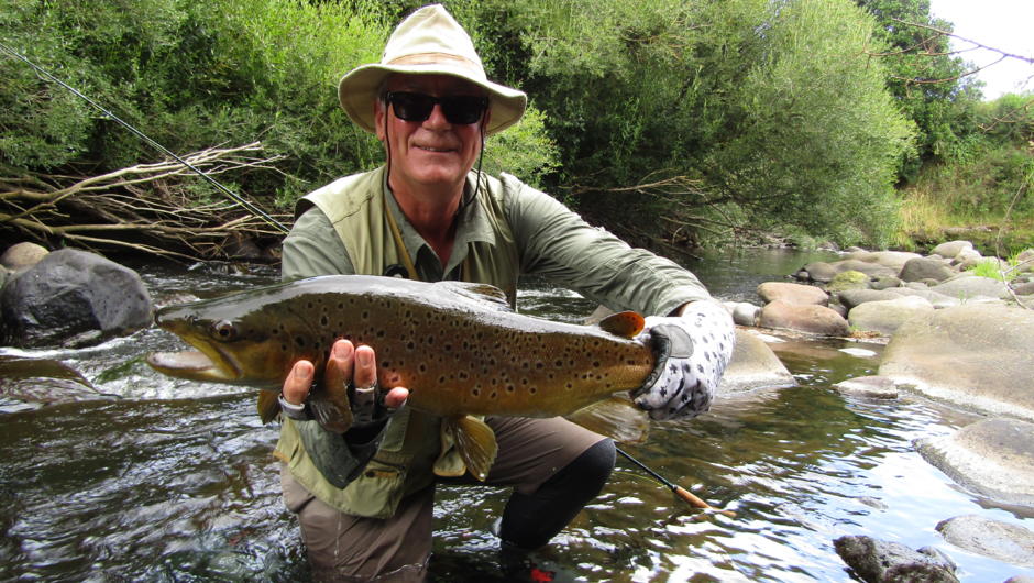 Small stream, big brown trout!
