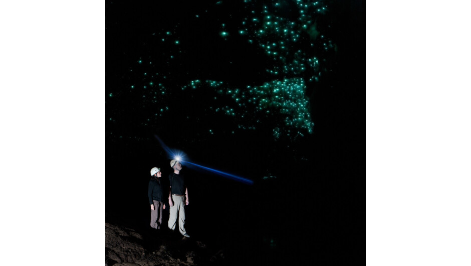 Sparkling glowworm display inside the Nile River Glowworm Cave