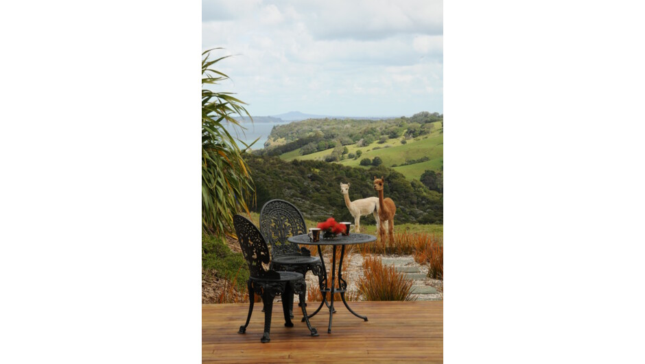 Enjoy the views from your private deck at Mahurangi West Wing