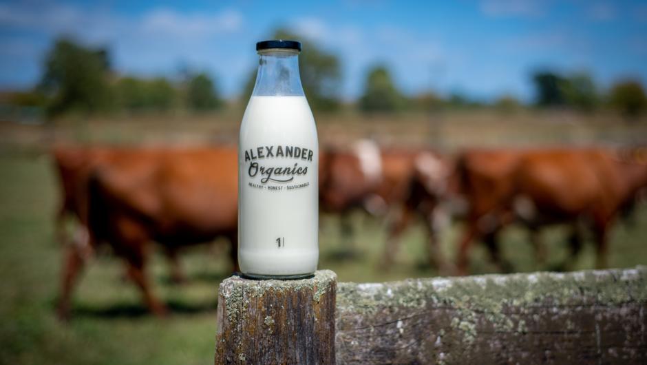 Organic Dairy Farm1.jpg