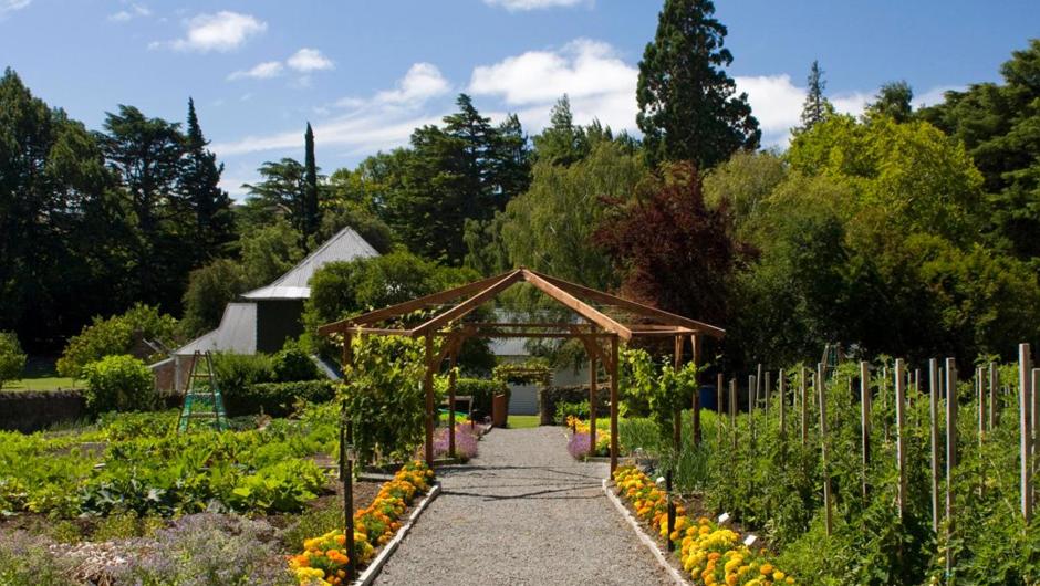 The Potager Garden at Otahuna Lodge is enclosed in the original stallion paddock.  More than 130 varieties and cultivars of fruit, vegetable, nut and mushroom are grown for the kitchen here, in the orchard, and in 2 restored Victorian outbuildings