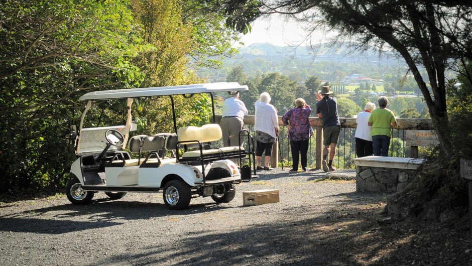 Golf Cart Tours available - bookings essential
