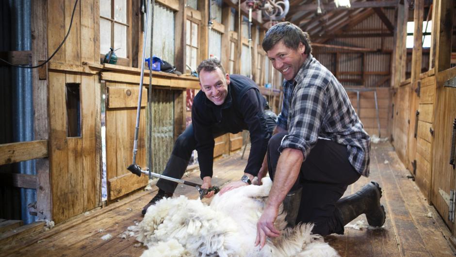 Edward from the Netherlands Shearing his first sheep
