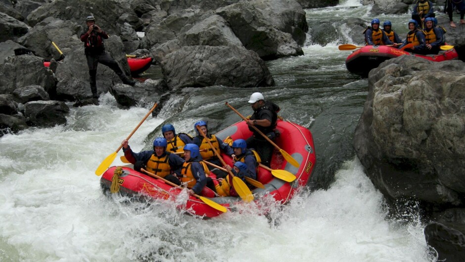 Foamy rapid, Rangitikei River