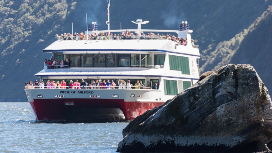 Milford Sound Scenic Cruise