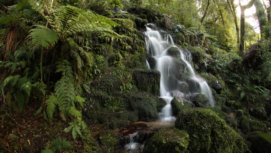 Do go chasing waterfalls with Foris Eco-tours