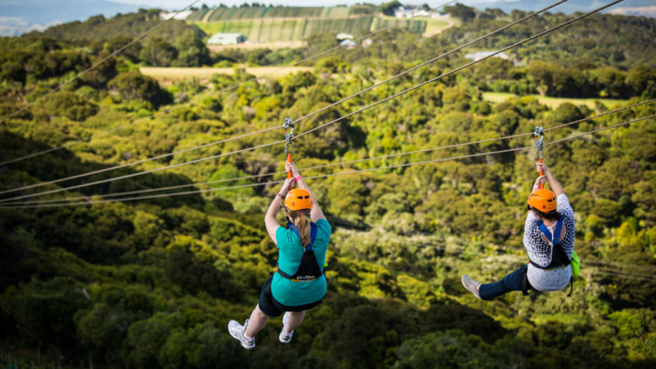 Zip 1 across the vines - fly with a friend!