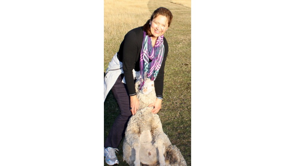 Jane Turner at Wilderness Lodge Arthur's Pass with a merino sheep - May 2012