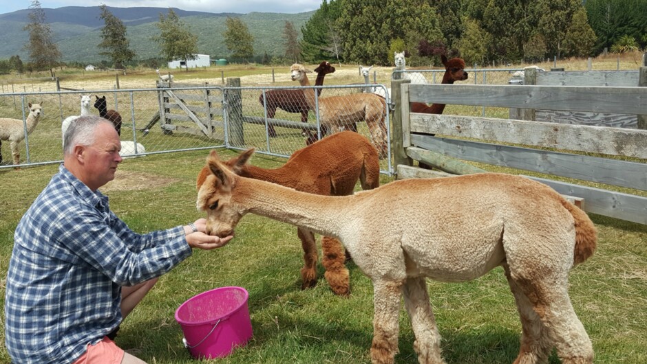 Taki and Toby having a snack