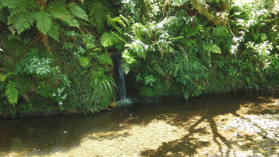 Waterfall into stream
