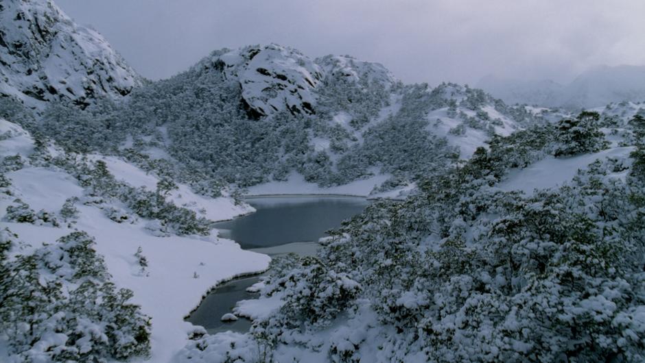 Winter in Fiordland (screenshot from Ata Whenua - Shadowland)
