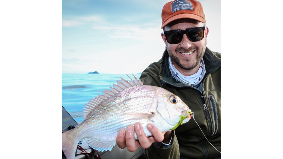 Snapper on fly, great fun and brilliant table fish.