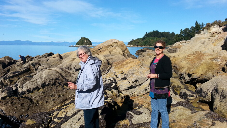 Exploring the Nelson coastline on a sunny Nelson day