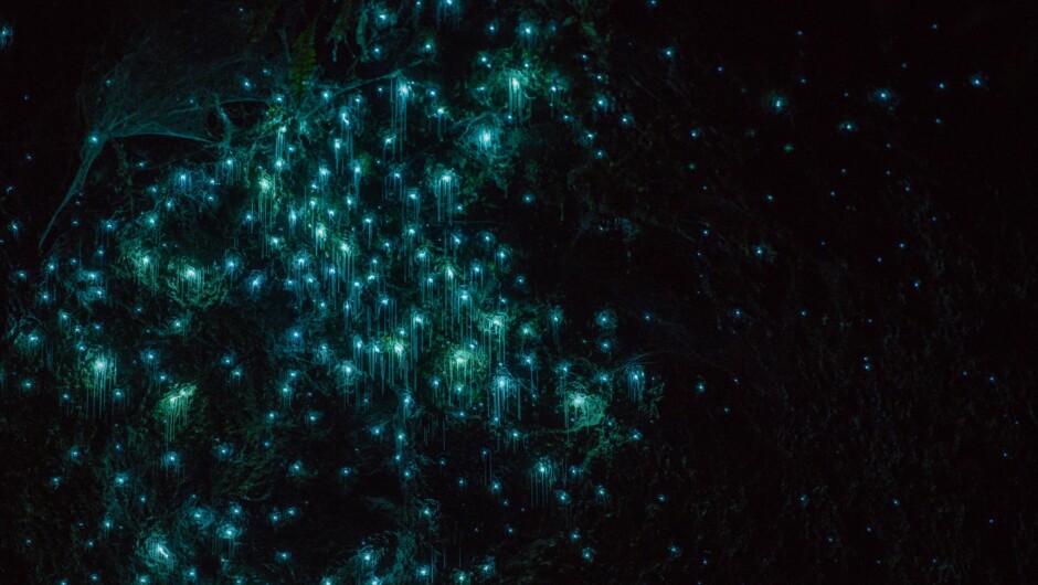 Glowworms up the Pokaiwhenua Canyon