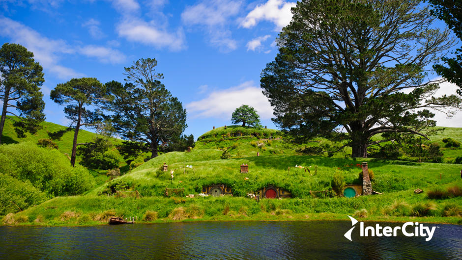 Rolling hills of The Shire at the Hobbiton Movie set