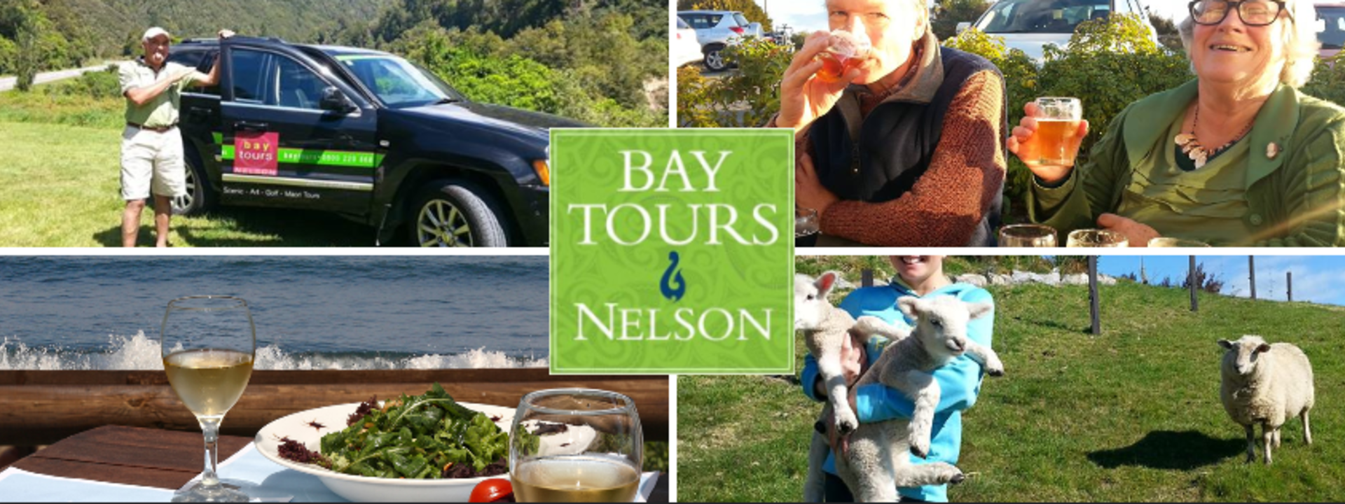 Logo: Bay Tours Nelson -Tours of the Nelson Region