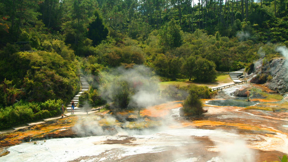 Enjoy a leisurely stroll around the breathtaking geothermal features and stunning native bush at Orakei Korako.