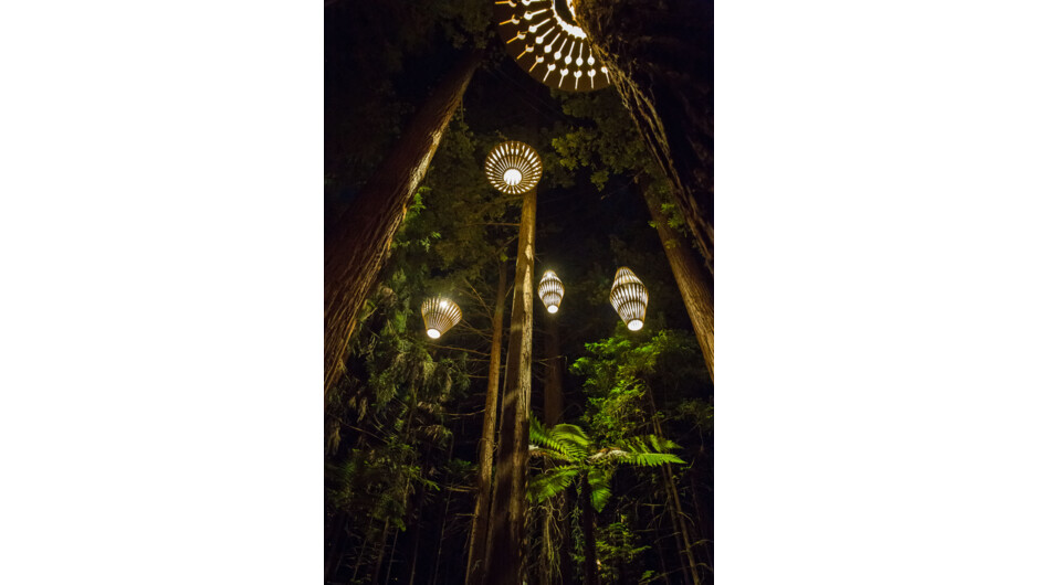 树林步道沿途共设有 30 盏包括三种不同设计款式的巨型灯笼。